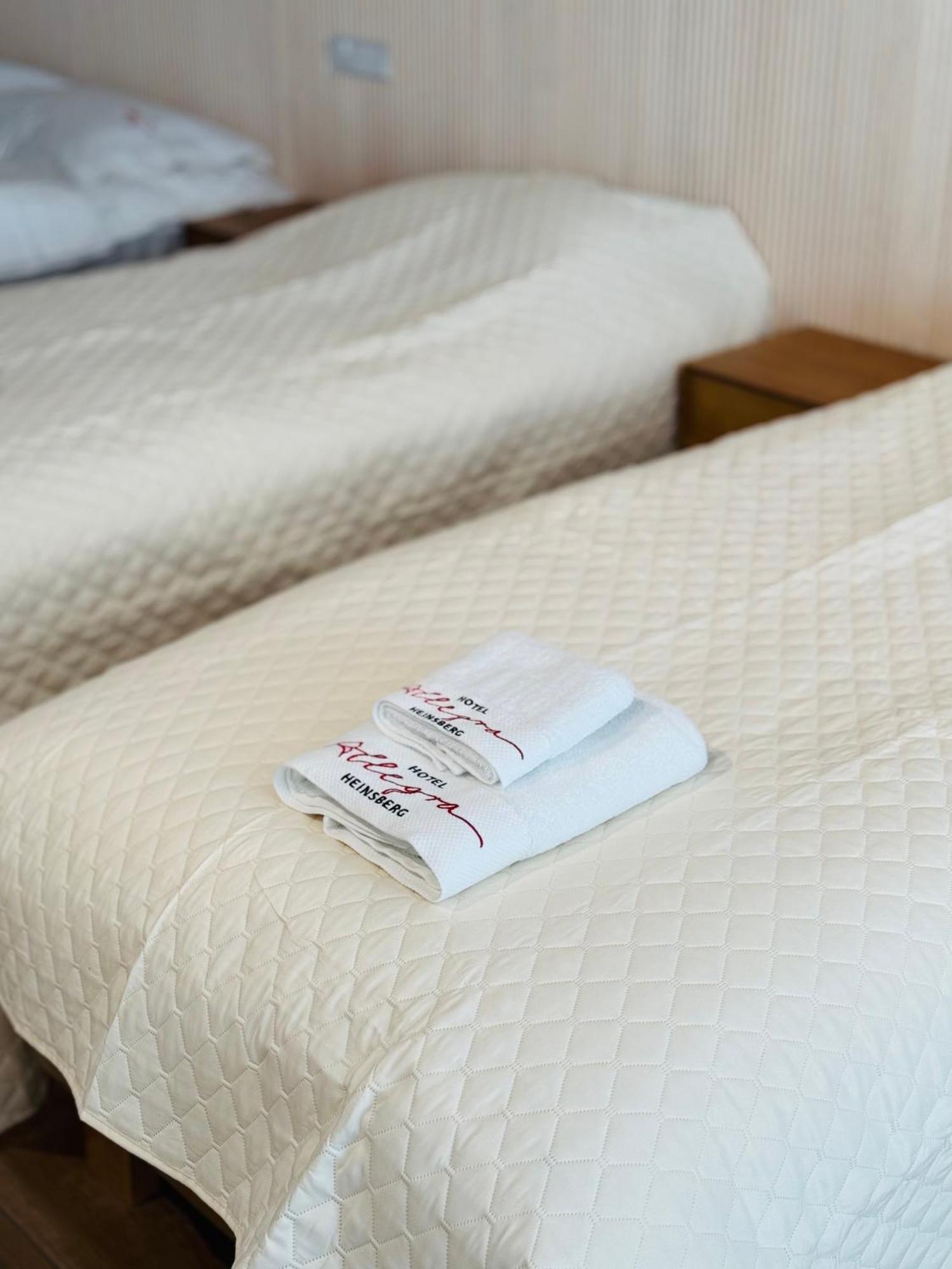 Hotel Allegra 海因斯贝格 外观 照片